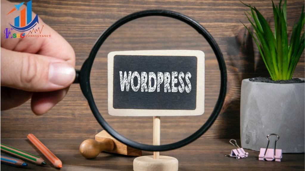 WordPress SEO Consultant